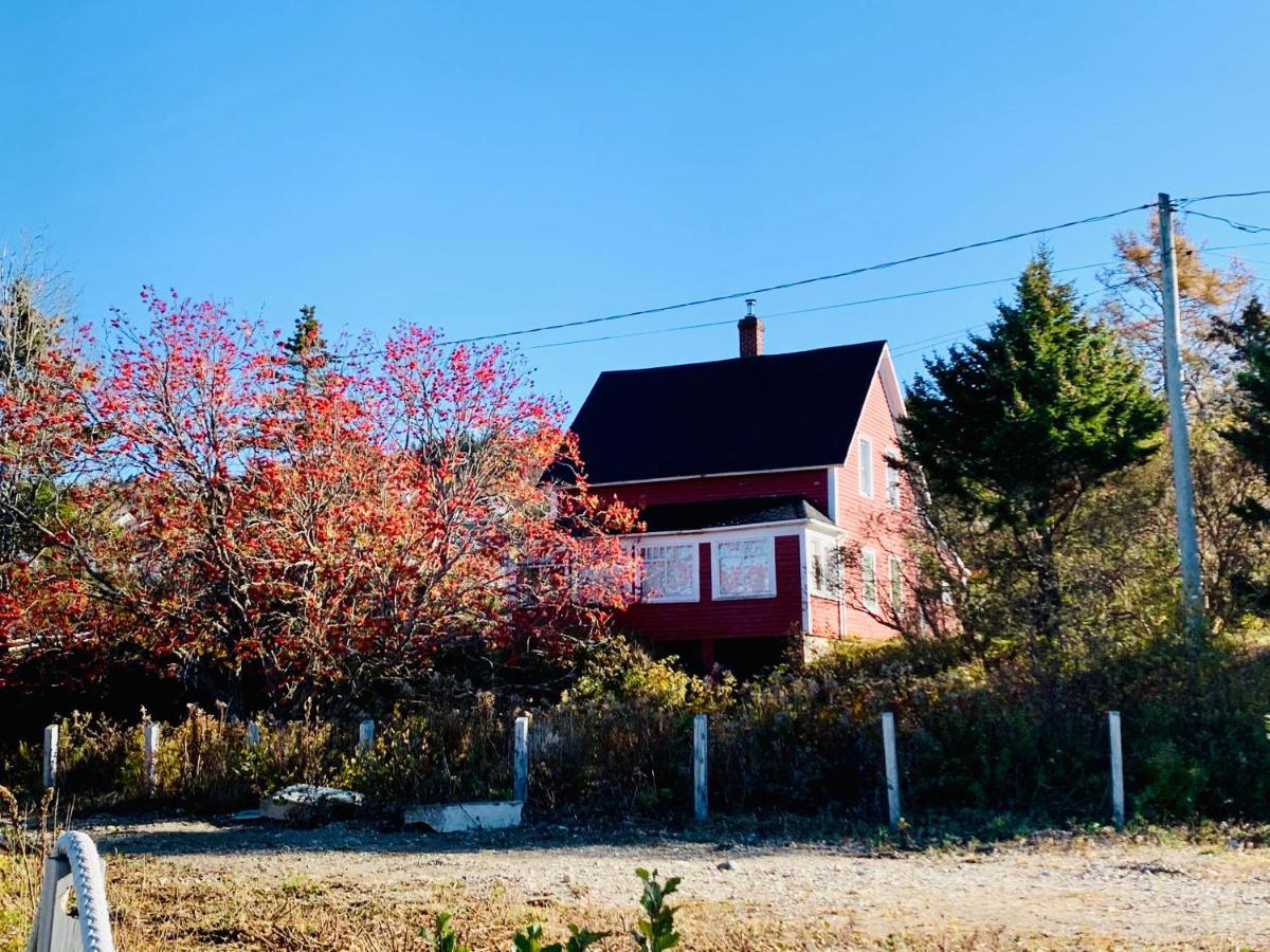 Alma Shore Lane Suites & Cottages Eksteriør billede